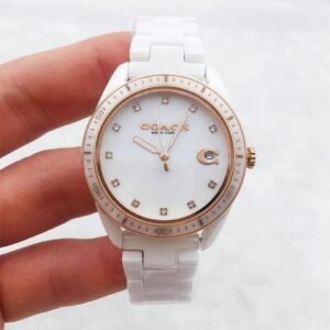 Replica COACH 904l Stainless Steel Automatic Japanese Movement Watch 35MM