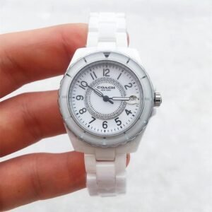 Replica COACH 904l Stainless Steel Automatic Japanese Movement Watch 29MM